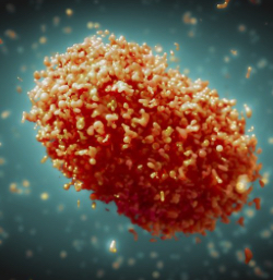 Viruela símica: los expertos cambian el nombre de las variantes del virus