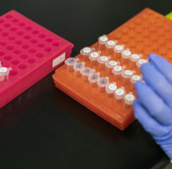 La OMS presenta una guía para el aprovechamiento seguro de los beneficios de las ciencias de la vida