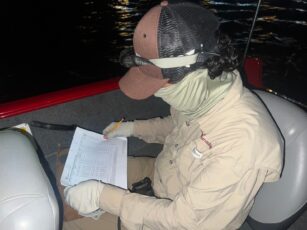 *Realiza Comisión de Parques acciones previas al censo del cocodrilo moreletti*