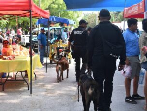 *Guardia Estatal redobla vigilancia durante festejos patrios*