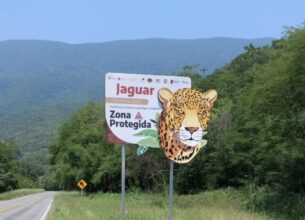 *Coloca Comisión de Parques señalética para evitar atropellamientos de fauna*