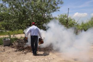 *Fortalece SST acciones contra el dengue y pide eliminar criaderos*