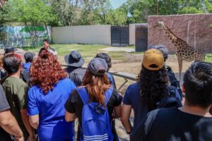 *Comisión de Parques punto clave para preservar fauna silvestre en Tamaulipas*