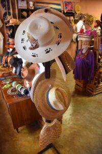 *Anuncia Turismo segunda edición del Festival del Desierto en Tula*