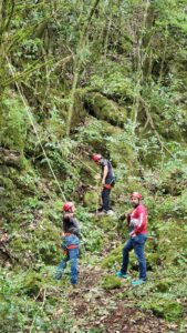 *Fortalecerán desarrollo turístico en Gómez Farías*