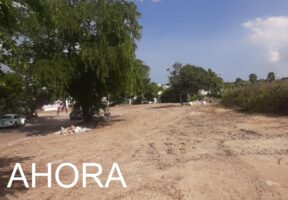 *Rescatan la PAUT predio en Tampico tras retiro de escombros y desechos*