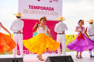 *Respalda Gobierno de Tamaulipas promoción de campos de girasoles*