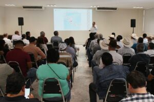 *Tamaulipas se mantiene libre del gusano barrenador*