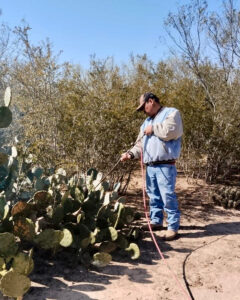 CONVOCA GOBIERNO MUNICIPAL A PRODUCTORES RURALES A REGISTRARSE PARA EL SUBSIDIO DE GAS LP DESTINADO AL CHAMUSQUE DE NOPAL