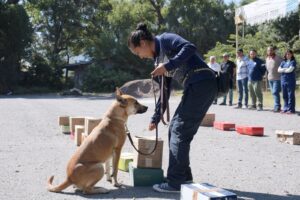 *Refuerza Gobierno de Tamaulipas sanidad pecuaria con caninos especializados*