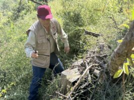 *Fortalecen SEDUMA Y CONAFOR estrategia para preservar riqueza ambiental de Tamaulipas*