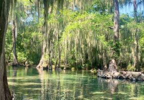 *Tamaulipas va por el golazo turístico con Rutas del Aficionado al Fútbol: Sectur*