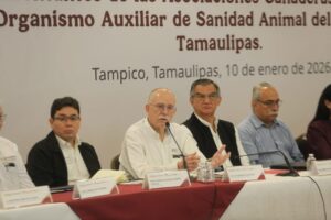 *Tamaulipas refuerza acciones contra el gusano barrenador; no se cerrará comercialización del ganado: Berdegué Sacristán*