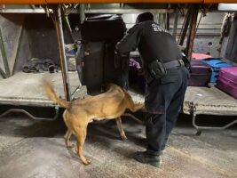 *Guardia Estatal refuerza vigilancia con binomios caninos en la Central de Autobuses de Victoria*