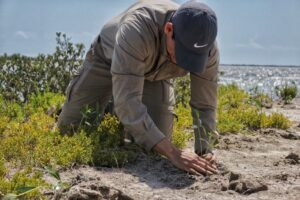 *Reforesta SEDUMA litoral para cuidar comunidades y biodiversidad*