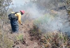 6fe9d8d1-e063-4e1d-9abb-fe10342cdbf7