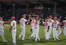 724c3786-634a-463a-91c2-5e29cc8431cb