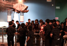 beafad28-52bb-4b17-9c11-053c3a329869