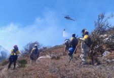 fa61431c-4d96-4529-878c-e6e79f9d1015