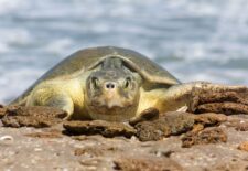 546a65b9-e1d9-4132-8467-6e396f1c4547