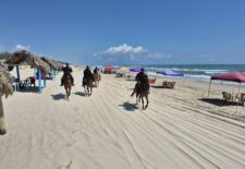 554e1c09-2f14-4f34-a206-47651fc83acc