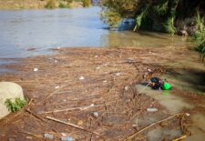 b5b4d12f-bf0c-4930-980c-9b601e78cf96