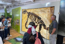 dd2df6fe-ec0f-41a9-9b86-92e1c2d6ef46