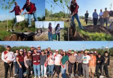 COMPOSICION BETO REFORESTACION----4444